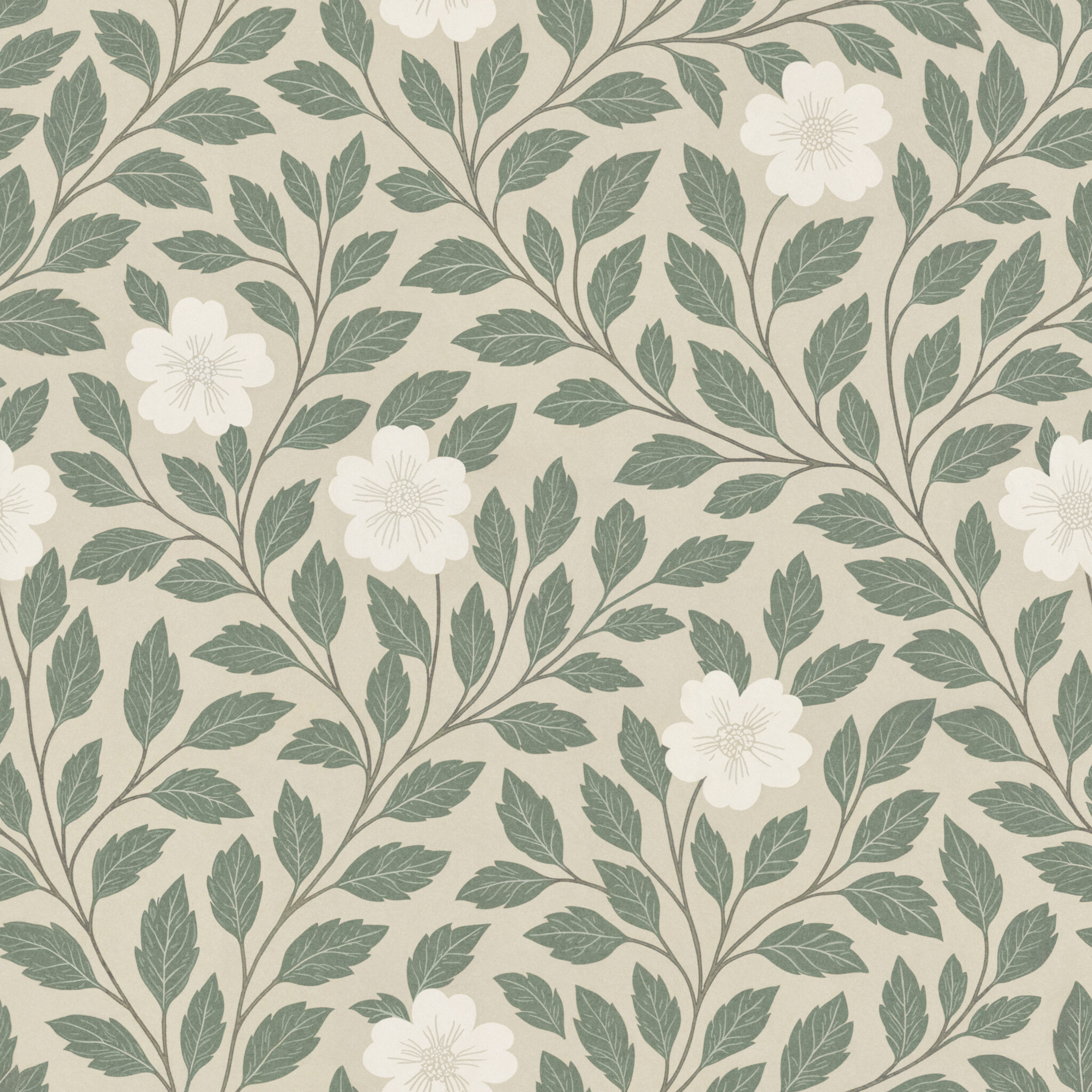 Wall Blush x Come Stay Awhile Wallpaper Collection | Launching 8.29. ...