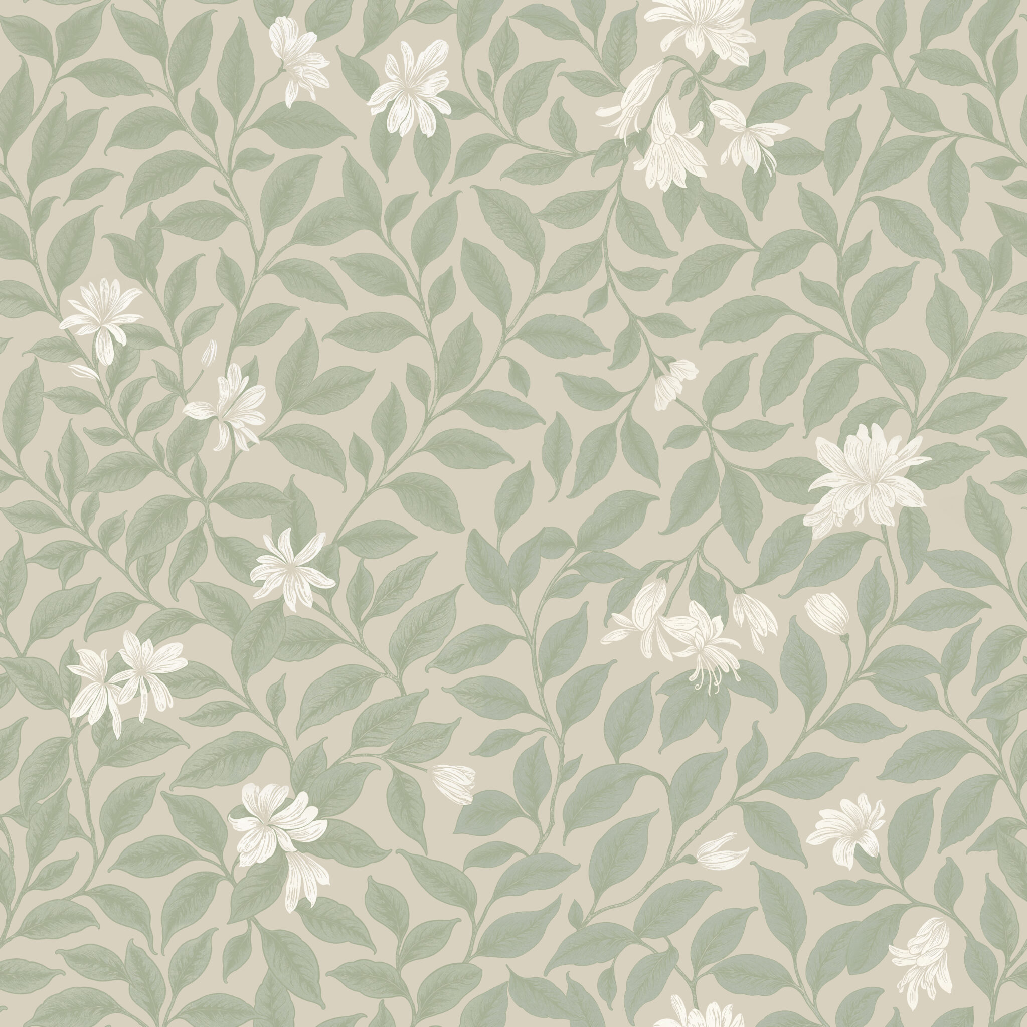 Wall Blush x Come Stay Awhile Wallpaper Collection | Launching 8.29. ...